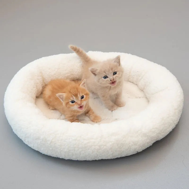 Fluffy 2-in-1 Cuddle Bed