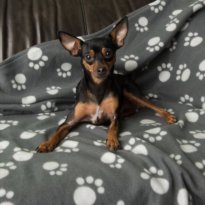Pawty Fleece Blanket