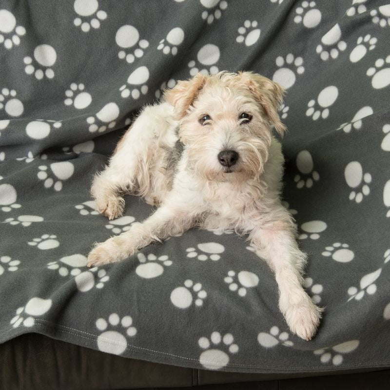 Pawty Fleece Blanket