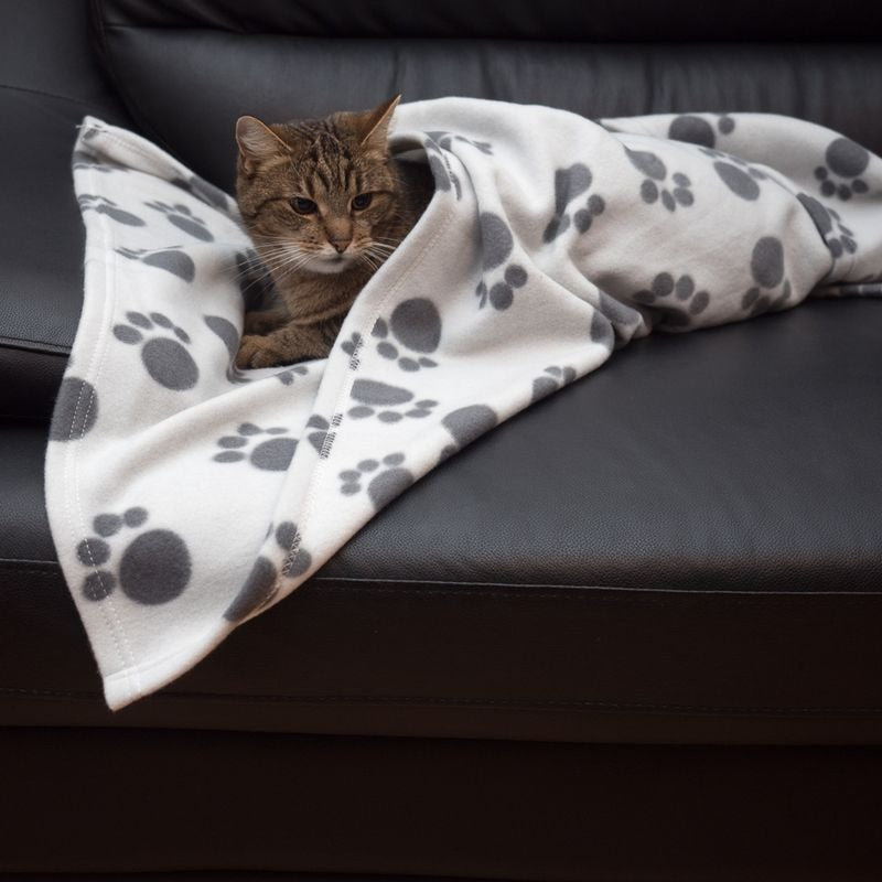 Pawty Fleece Blanket