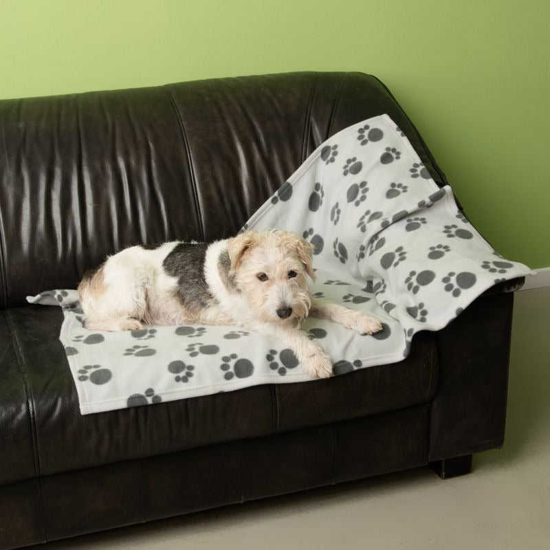 Pawty Fleece Blanket
